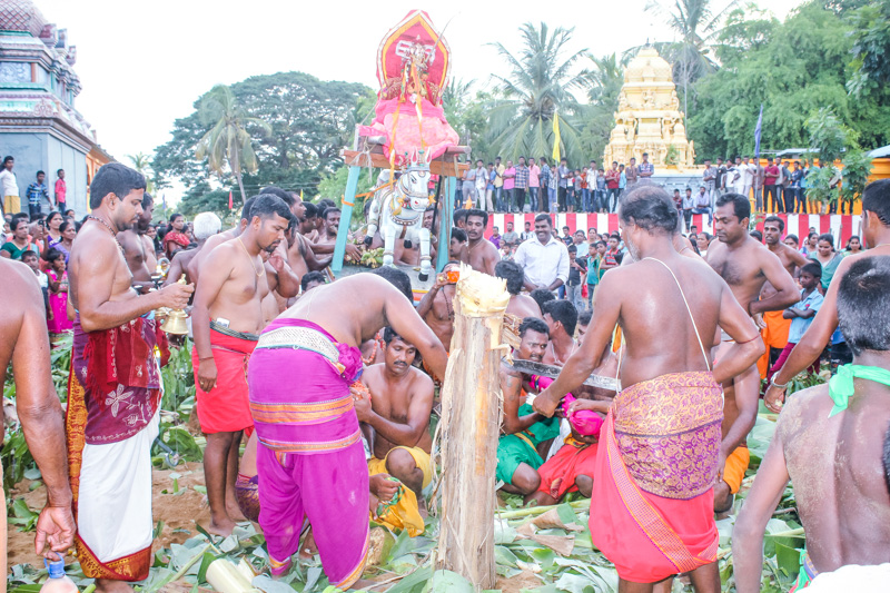 veddaithiruvilla 1